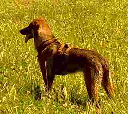 Bild0337