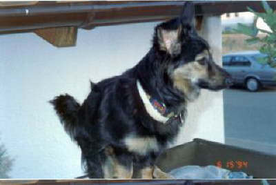 Gusanito