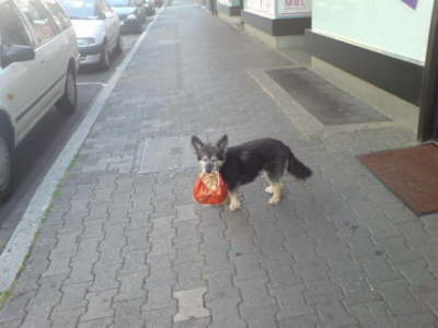 Gusanito