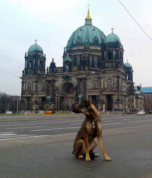 Die fabelhafte Welt der Chula