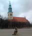 2012-03-11 07