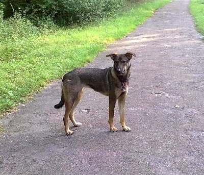 Chula