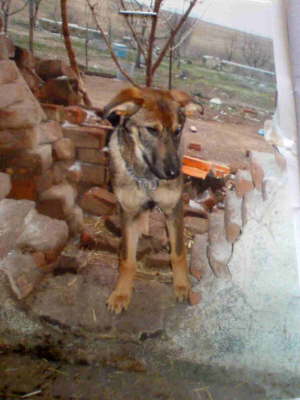 Chula